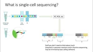 New Method BEANIE Revolutionizes Cancer Gene Analysis