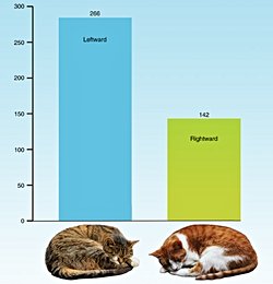 Ev Kedilerinin Üçte İkisi Hayatta Kalma Stratejisi Olarak Sol Tarafında Uyuyor!