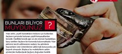 Yılan Zehri İlaç Yapımında Kullanılmaktadır!