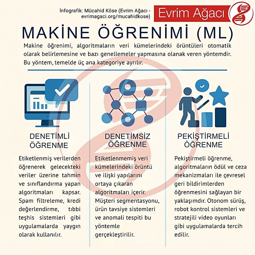 Makine öğrenimi ve alt kategorileri hakkında bir infografik.