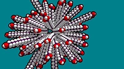 Kimyasal Evrime Giriş: Canlılık ve Cansızlık Nedir, Ne Değildir? Canlılar ile Cansızlar Arasındaki Farklar Nelerdir?