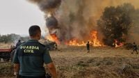 Spain wildfire: 500 more troops deployed to battle wildfires; extended heat wave cause havoc