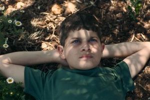 Israel Cuts Film Awards Funding After Palestinian Movie Win
