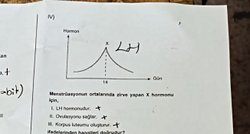 Lh korpus luteumu oluşturur mu?
