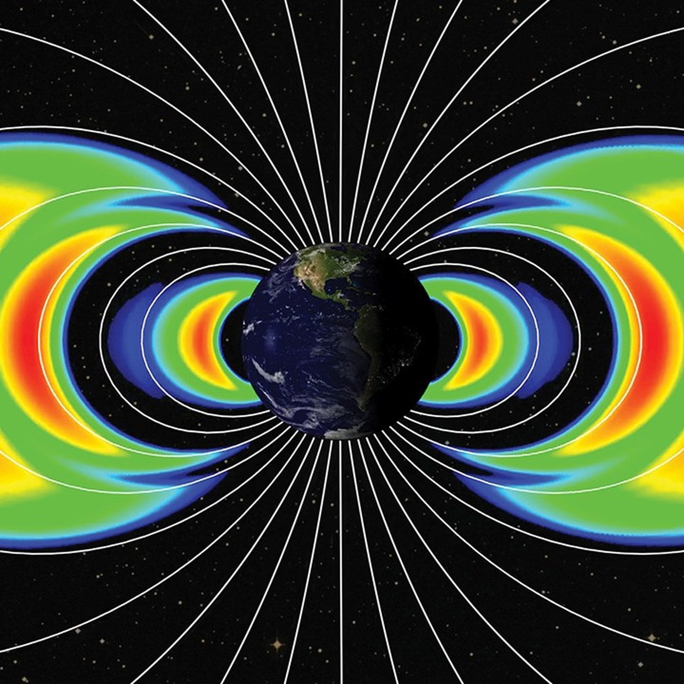 Evrim Ağacı ile Bilime Dair Her Şey!