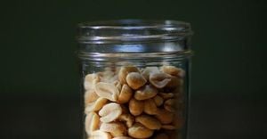 Early Peanut Introduction Spurs Sharp Drop In Allergies