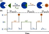 High-order Michaelis-Menten equations allow inference of hidden kinetic parameters in enzyme catalysis - Nature Communications
