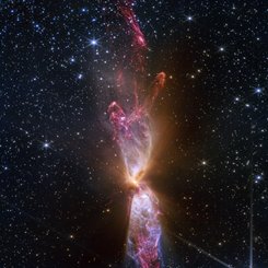 The Protostars within Lynds 483