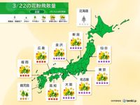 今日22日も花粉飛散ピーク続く　近畿から東北で「極めて多い」　ヒノキ花粉の対策も(気象予報士 久保　智子)