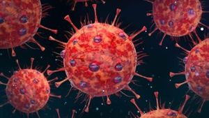 New HKU5-CoV-2 Coronavirus Raises Human Infection Concerns