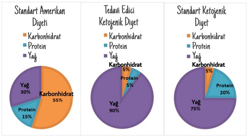 Standart Amerikan Diyeti, Tedavi Edici Ketojenik Diyet ve Standart Ketojenik Diyetin makro besin ögeleri içeriklerinin enerjiye katkıları açısından karşılaştırılması.