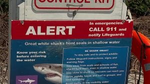 LED Lights Revolutionize Shark Safety For Surfers