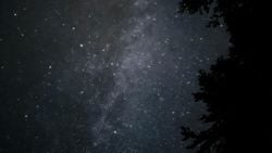 Yardımcı Olur Musunuz?