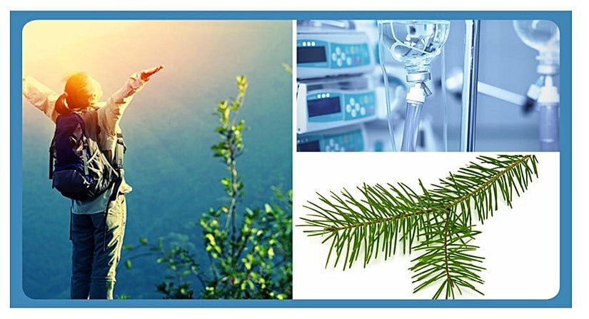 Kanser Tedavisinde Kullanılan Doğal Bileşik Paklitaksel