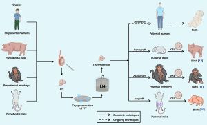 Systematic Review Optimizes Cryopreservation Practices For NHP Sperm