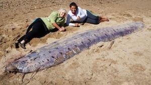 Rare Oarfish Washes Ashore Off California Coast