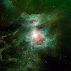 Infrared Orion from WISE
