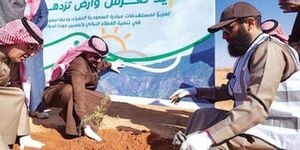 Yemen Minister Visits Hadramout As Egyptian Author Wins Award