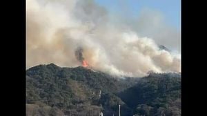 Forest Fire Erupts In Okayama, Firefighters Mobilized