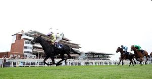 Furthur Charges Into St Leger Contention With Newbury Win