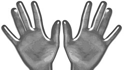 Ayna Yaşam Nedir? Ayna Yaşam, Bildiğimiz Anlamıyla Yaşamın Sonunu Getirebilir mi?