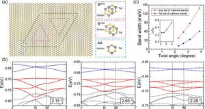 Exploring Non-Abelian Fractional Chern Insulators In Twisted MoTe<sub>2</sub>