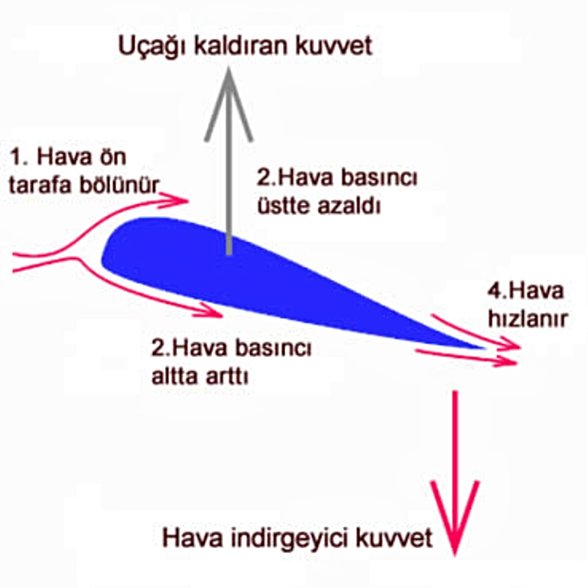 Uçak Kanadının Kesiti