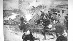 Savaş hayvanları doğru ve etkili mi ?