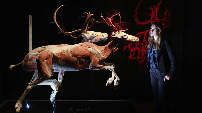 Bir tür olarak bir milyon yıl boyunca hayatta kalabilir miyiz?