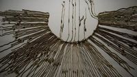 A lock of hair may have just changed what we know about life in the Incan Empire