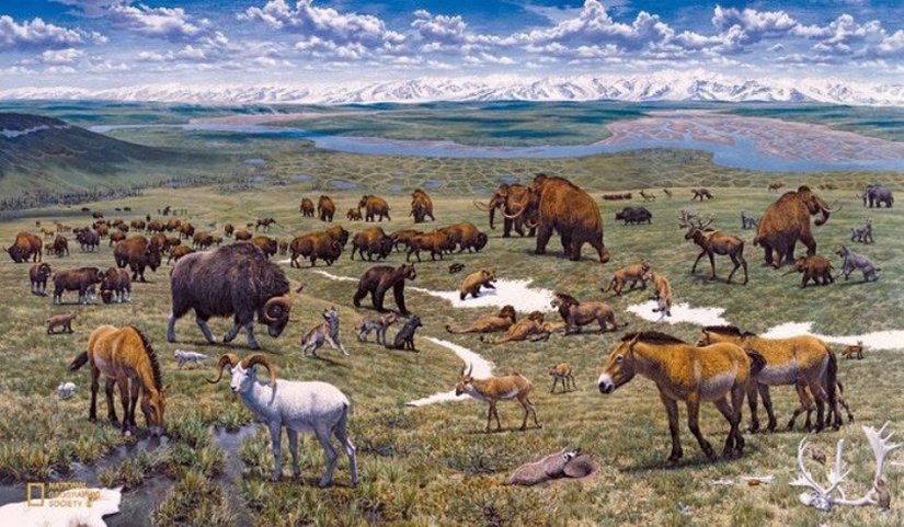 Pleistocene Park projesinin bir illüstrasyonu.