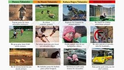 Yapay Zeka, Ona Gösterilen Fotoğraflarda Neler Yaşandığını Anlatabiliyor!