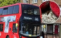 London buses are infested with cockroaches, according to fed-up drivers