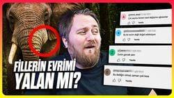 Filler, Sadece 80 Yılda Evrimleşebilir mi?