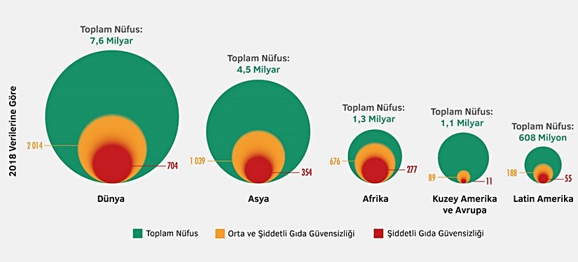 Şekil 3-Gıda ve Tarım Örgütü (FAO) 2019 Raporu