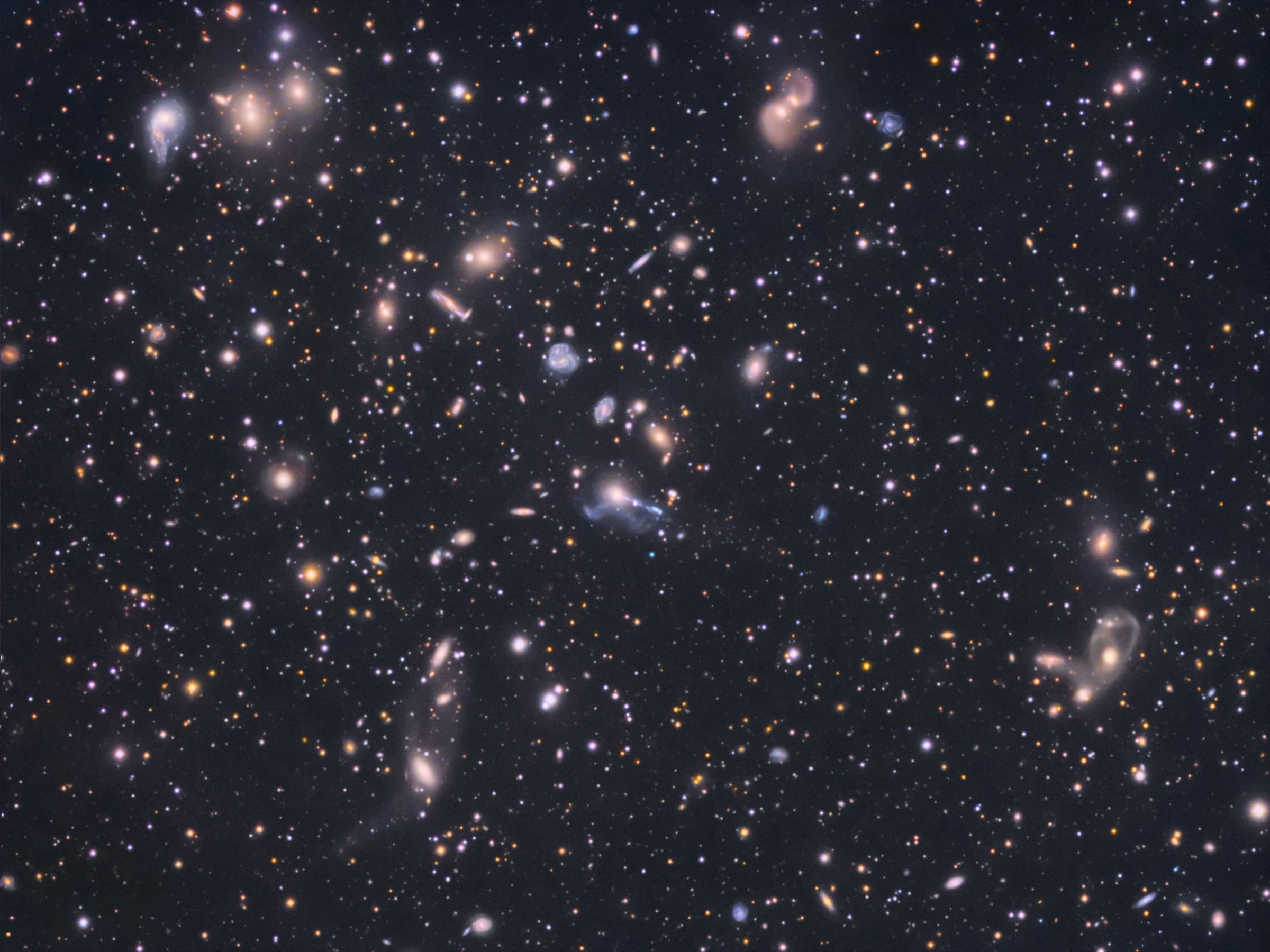 The Hercules Cluster of Galaxies