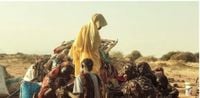 Sudan: UN says 89 killed in El Fasher - Radio Tamazuj