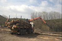 Spain wildfires: decades of rural decline made the blazes worse, but robust local economies can prevent further destruction – here’s how