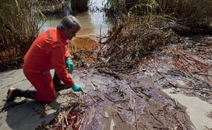 Diesel Spills Raise Environmental Alarm For UK Rivers