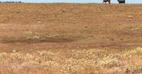 Unprecedented water rationing to begin in WA’s Yakima Basin