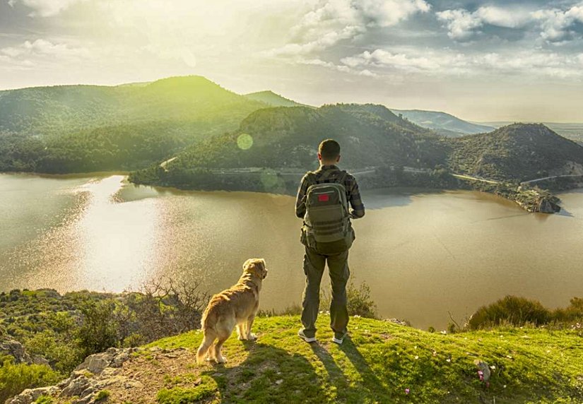 Manzaraların "büyüleyici" gelmesinin nedeni biyofili hipotezidir.