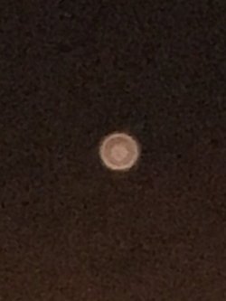 Bunun hakkında ne düşünüyorsunuz?