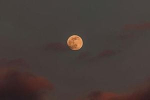 Wolf Supermoon Kicks Off 2026 With Dazzling Display