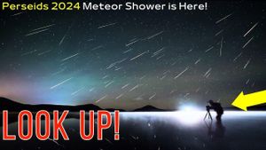 Experience The 2024 Meteor Showers