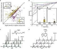 Metabolomics strategy for diagnosing urinary tract infections - Nature Communications