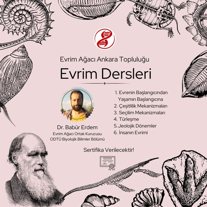 Evrime Giriş Dersleri