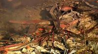 Officials say 'no survivors found' at Tennessee manufacturing plant explosion site as ATF deploys elite team