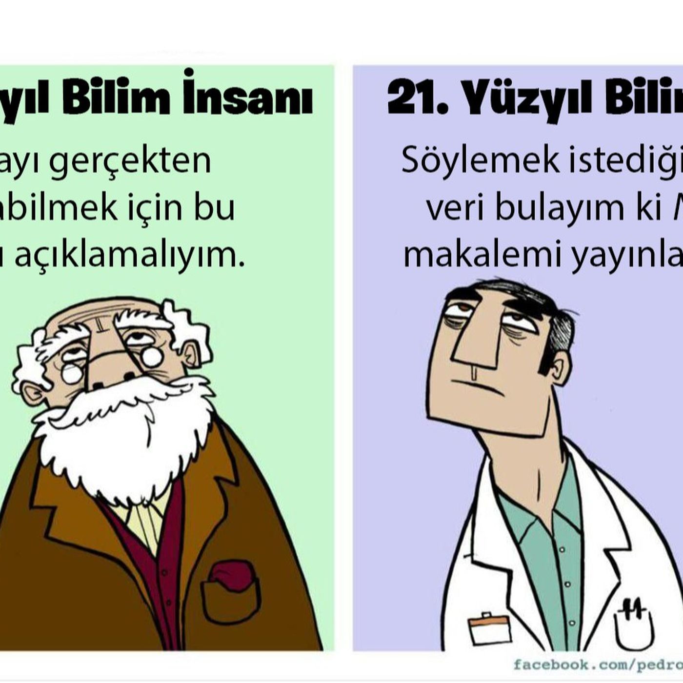 Evrim Ağacı ile Bilime Dair Her Şey!