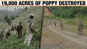 Manipur Takes Action Against Illegal Poppy Cultivation