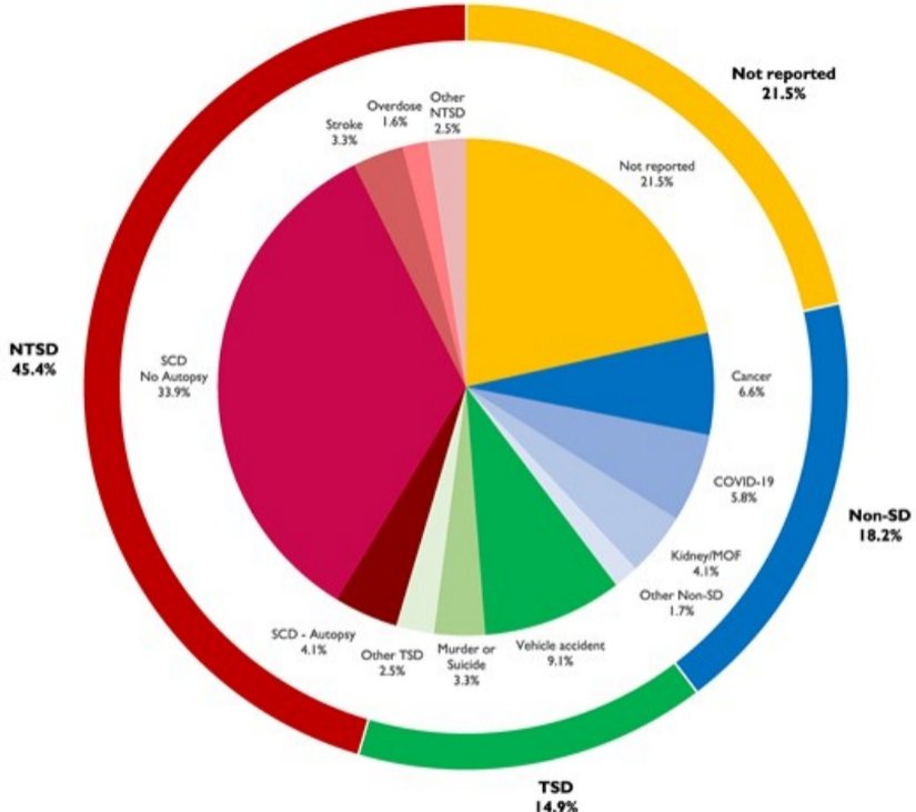 Ölümlerin nedenlerine göre gruplandırılmış, tespit edilmiş tüm ölümler (n = 121).